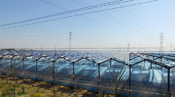 亚洲必赢·bwin(中国唯一)官方网站